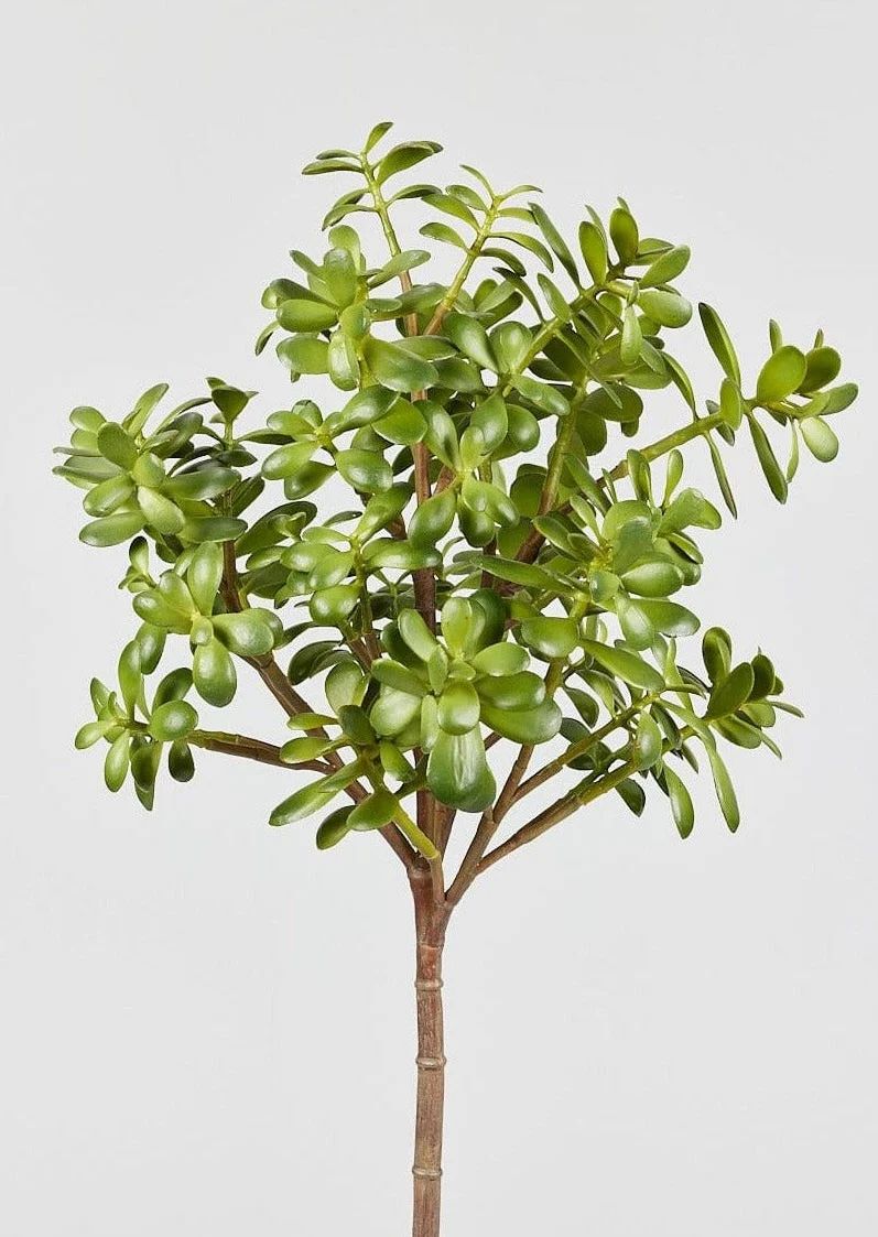 Artificial Jade Succulent Plant - 31" | Afloral