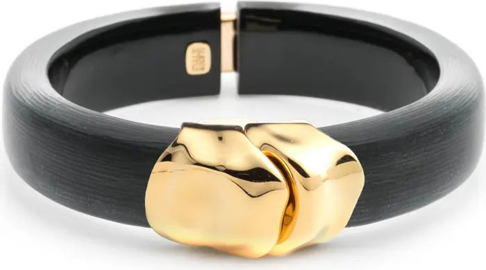 Essentials Molten Hinged Bangle | Nordstrom