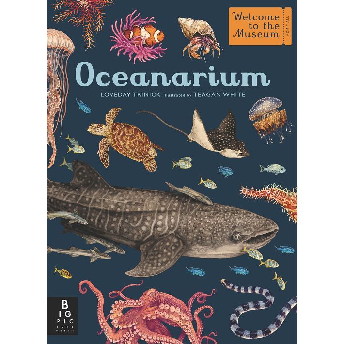 Oceanarium | West Elm (US)
