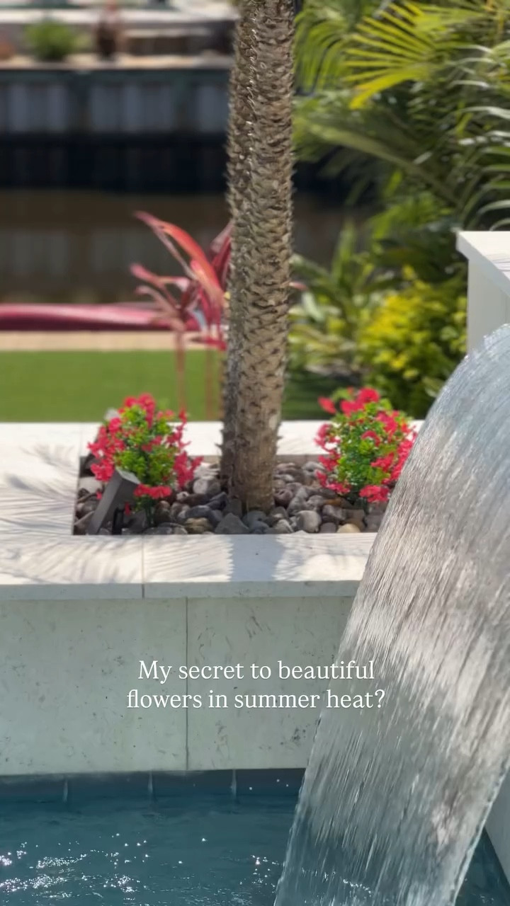 I knew the flowers had to survive no watering and cold winter nights. The solution? The prettiest and most realistic looking faux flowers on Amazon! 

Outdoorliving #backyard_dreams #backyarddesign #inmygardentoday #fauxflowers #pygmypalms #floridalandscaping #modernbackyard #pooldesign #summergarden

#LTKSaleAlert #LTKHome