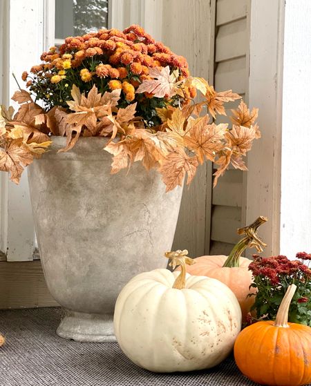 Our Fall front porch planters from Walmart. One of the best budget friendly planters I’ve found.
Outdoor pots/budget friendly planter/outdoor planters/large urn

#LTKfindsunder50 #LTKhome #LTKSeasonal