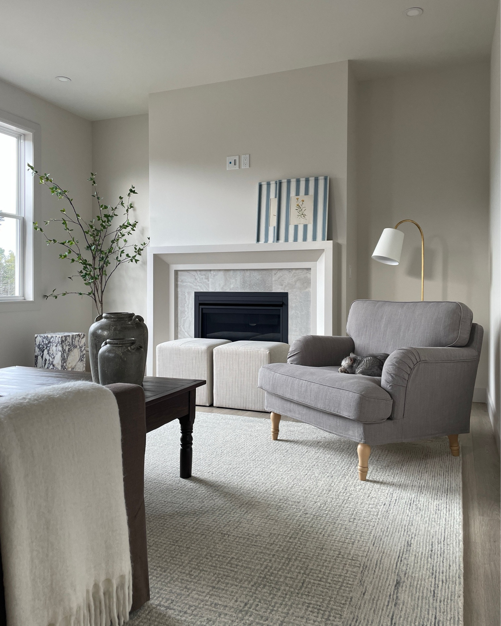 New living room rug! This is the Windsor from the Fall 2024 Loloi x Amber Lewis collaboration ✨