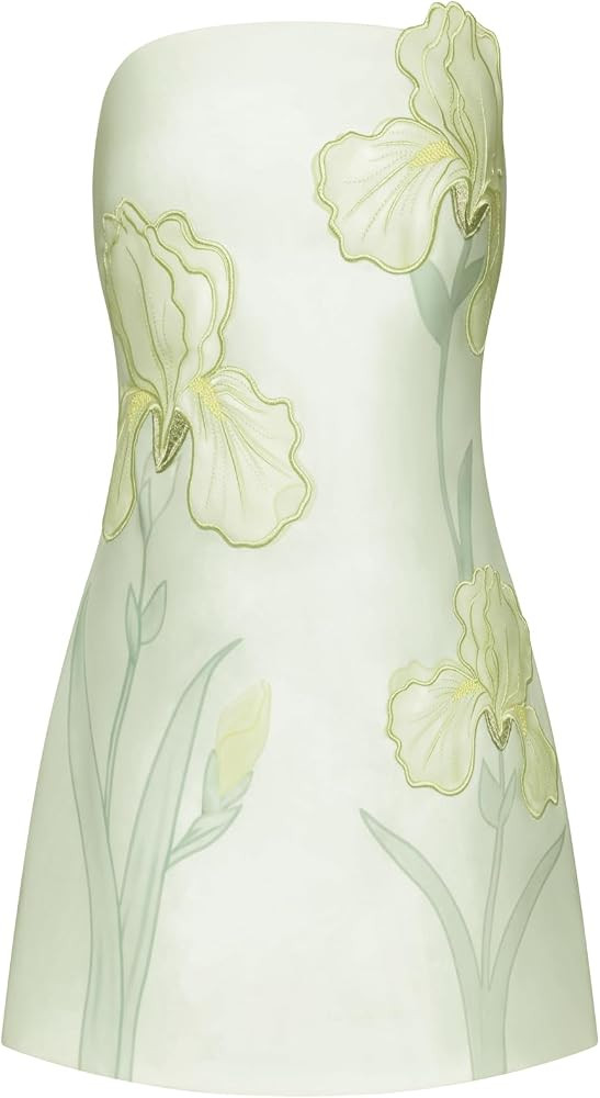 JW PEI Women's 3D Floral Appliqu\u00e9 Strapless Mini Dress | Amazon (US)