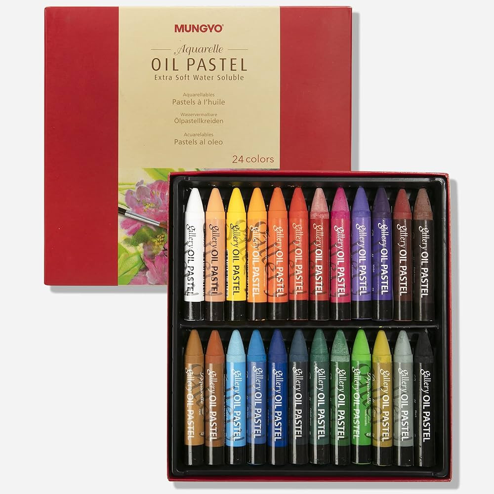 MUNGYO Water-Soluble Oil Pastel Set, 24 Vibrant Colors - Premium Blendable Art Sticks for Artists... | Amazon (US)