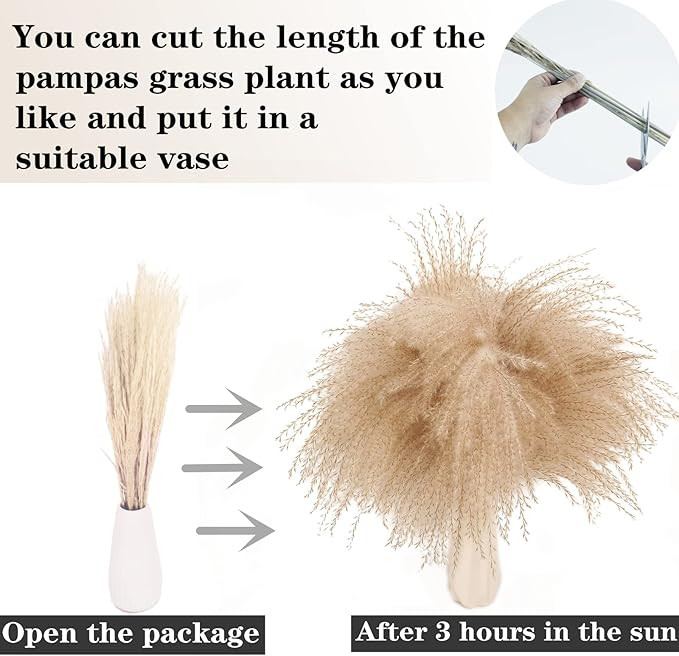 Dried Pampas Grass Decor, 100 Stems Pampas Grass Contains Bunny Tails Dried Flowers, Reed Grass B... | Amazon (US)