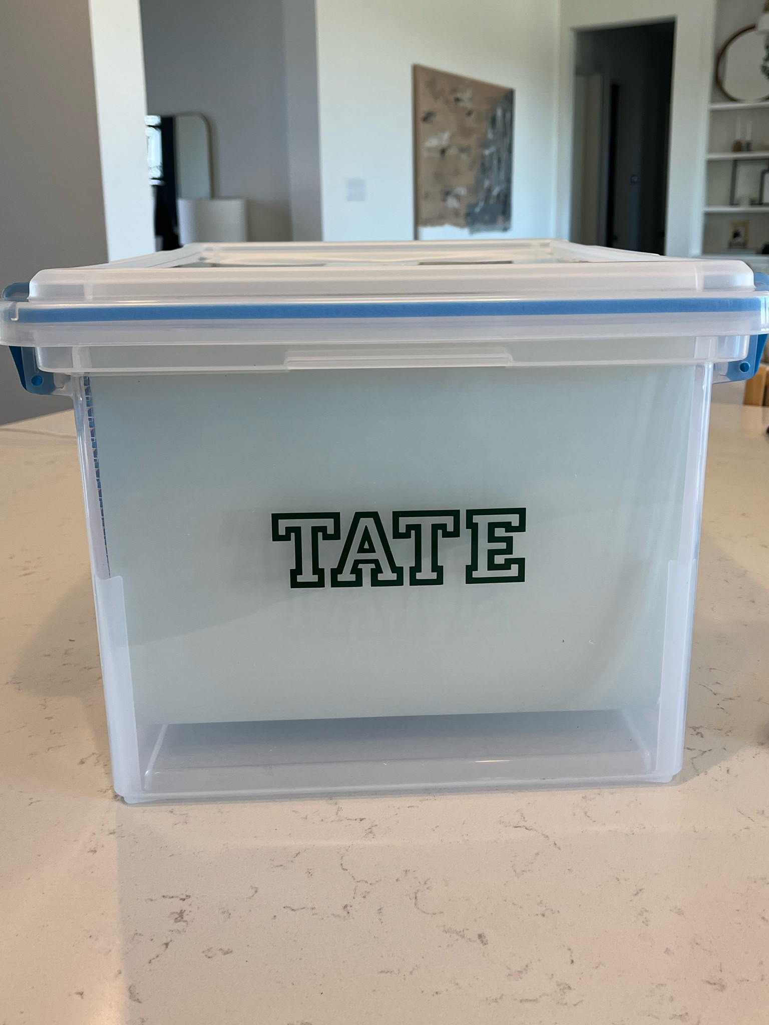 the best hack for kid organization - records, documents, keepsakes! 

#LTKkids #LTKFind #LTKbaby