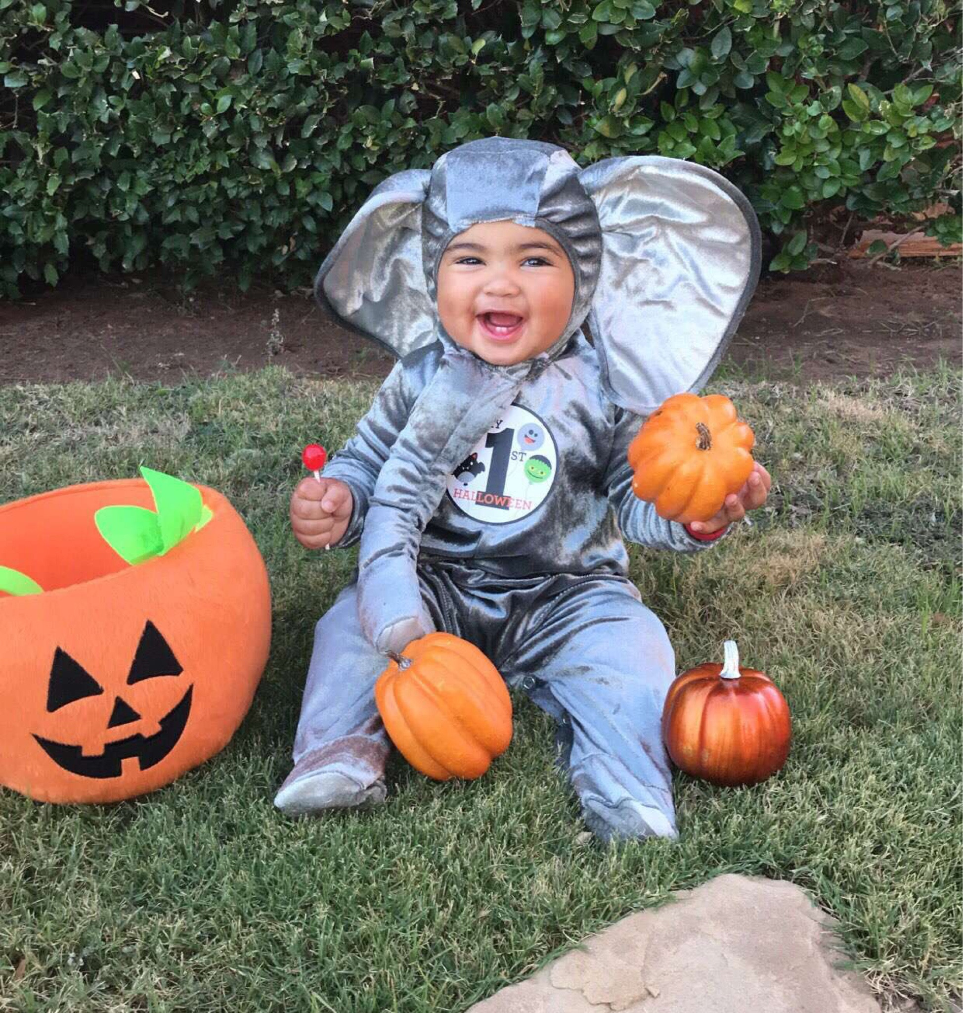 Hello Mr. Elephant 


Halloween costume, baby costume , fall, Halloween 

#LTKfamily #LTKHalloween #LTKkids
