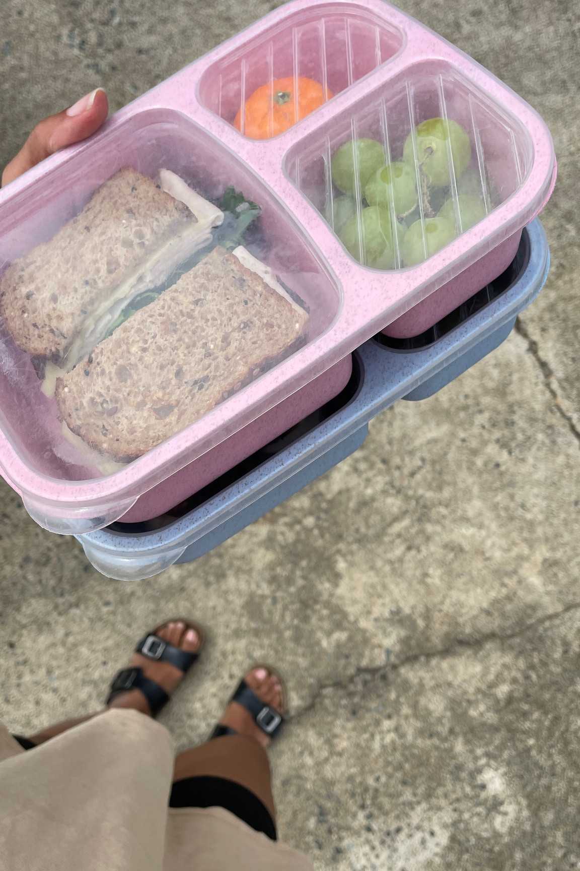 cutest little speckled lunch containers for the kiddos! comes in a pack of four!

#LTKhome #LTKkids #LTKfamily