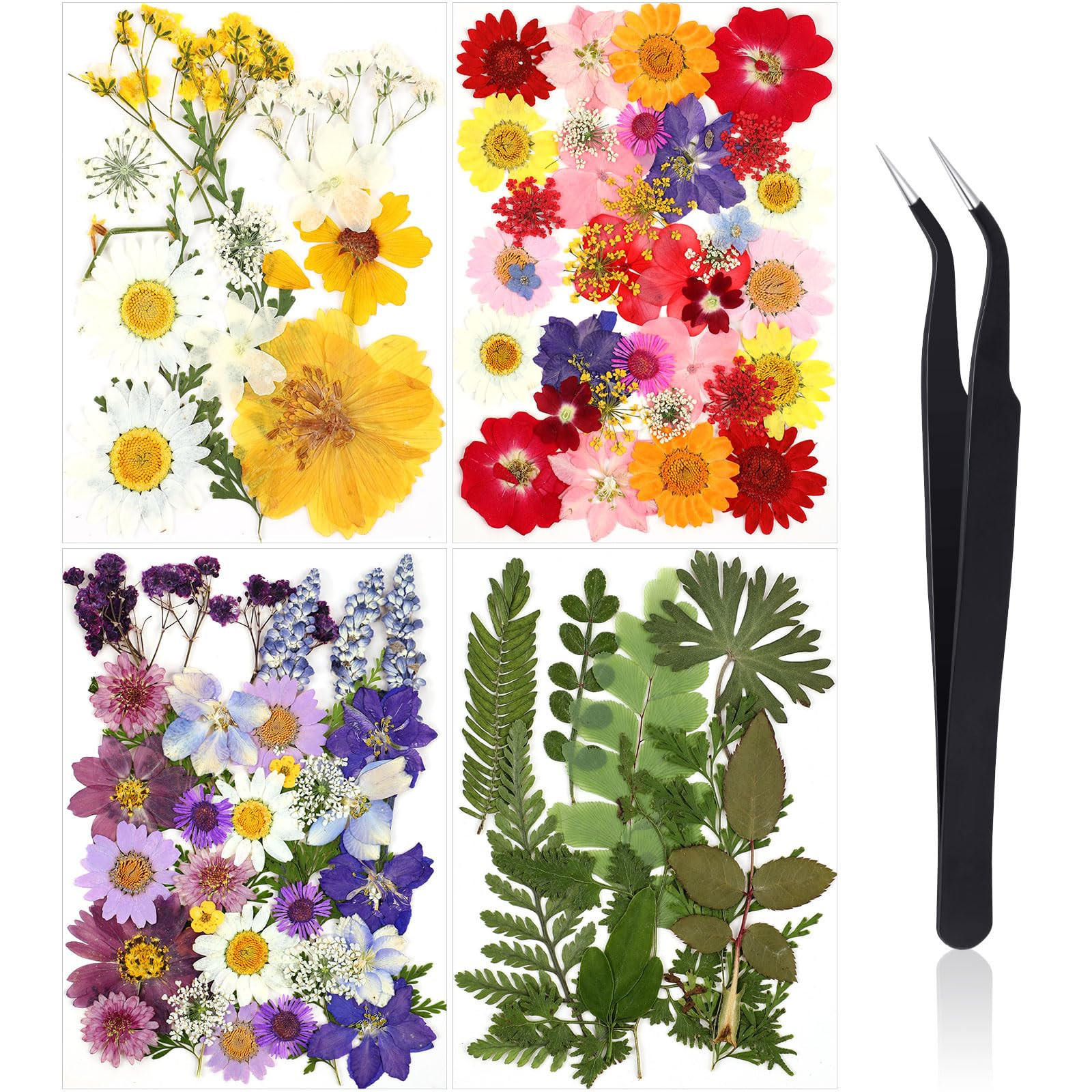 Nuanchu Dried Pressed Flowers for Craft Colorful Real Natural Dried Flowers Dry Leaves with Tweez... | Amazon (US)