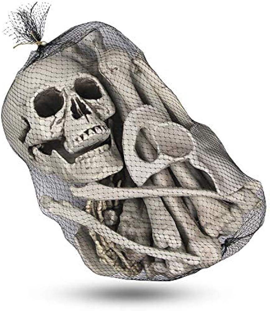 MOLEZU 28 Pieces Skeleton Bones Realistic Looking Skulls Human Skeleton Head Skull for Halloween ... | Amazon (US)