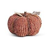 K&K Interiors 41220D-OR 10 Inch Burnt Orange Braided Cornhusk Pumpkin with Grapevine Accent | Amazon (US)