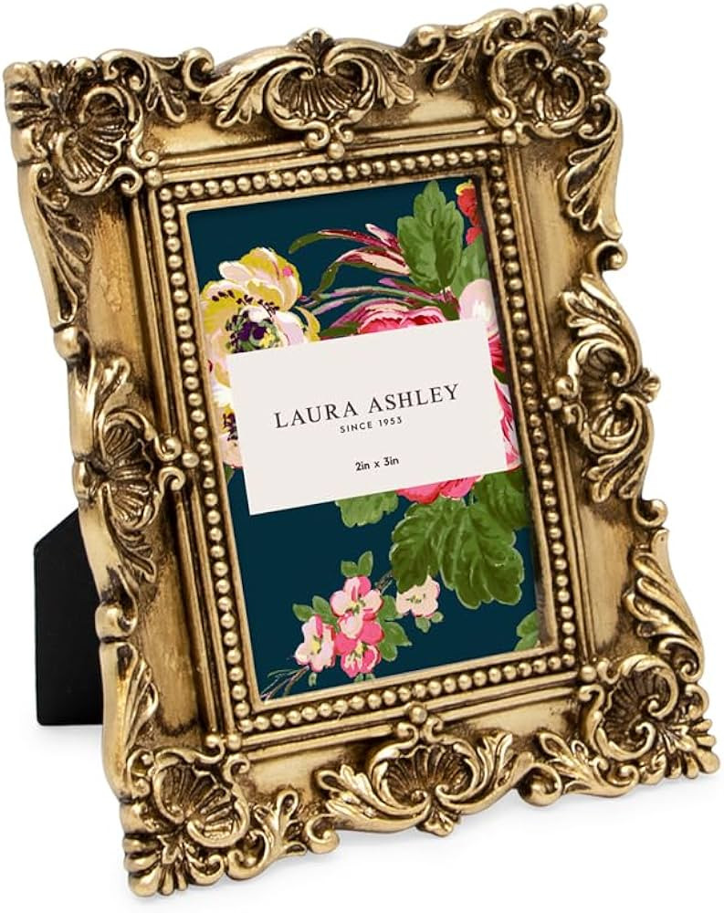 Laura Ashley 2x3 Gold Ornate Textured Hand-Crafted Resin Picture Frame with Easel, for Tabletop &... | Amazon (US)