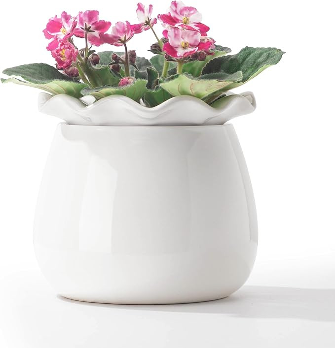 Self Watering Plant Pot, 6 Inch African Violet Pots Maintenance, Ceramic Self-Watering Planter fo... | Amazon (US)