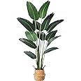 Ferrgoal Artificial Bird of Paradise Plants 6 Ft Fake Tropical Palm Tree with 13 Trunks in Pot an... | Amazon (US)
