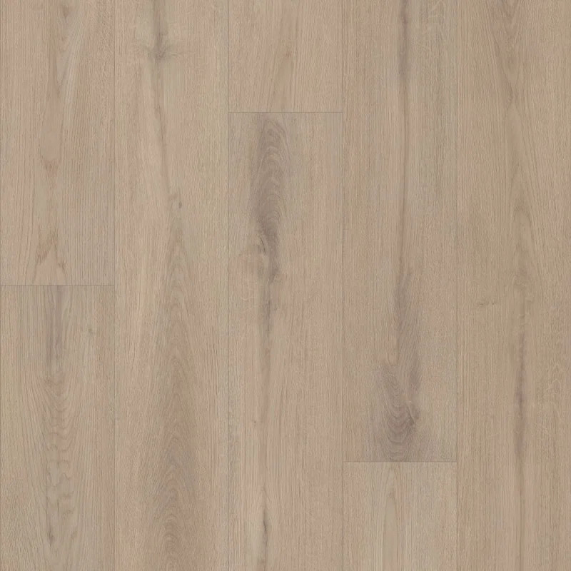 Shaw Aspire 8-mm T x 9-in W x 72-in L Waterproof Luxury Vinyl Plank Flooring | Wayfair North America