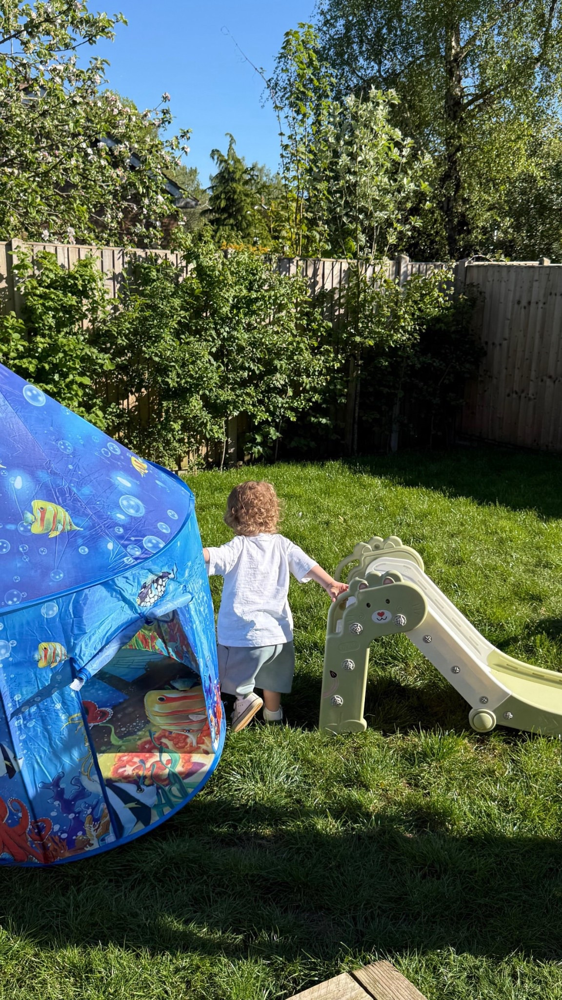 Th cutest tent for the summer time for toddlers! 

#LTKspring #LTKkids #LTKsummer