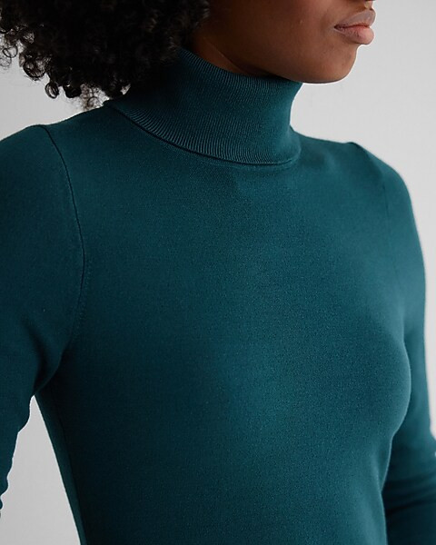Turtleneck Long Sleeve Midi Sweater Dress | Express
