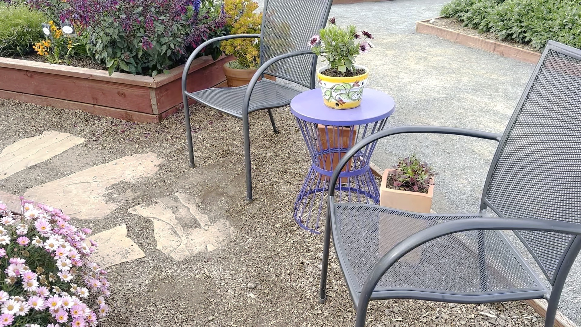 #LTKhome #LTKtravel #LTKsalealert