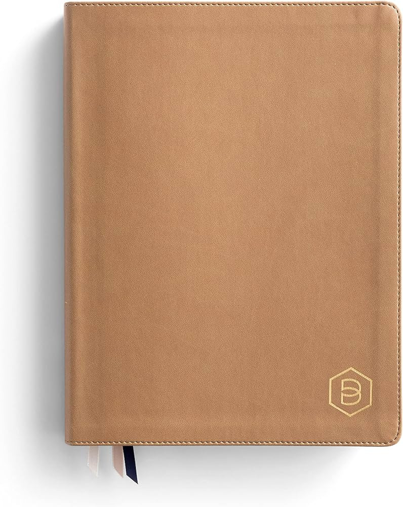 One Step Closer Bible: Large Print Edition - Tan, NLT | Amazon (US)