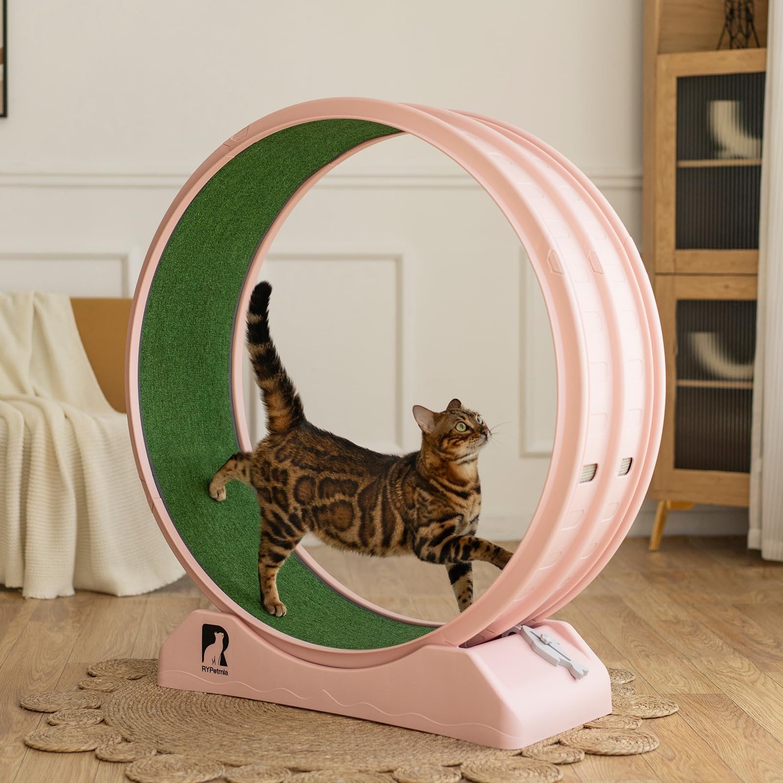 Cat Exercise Wheel, 39.4 Inch Cats Treadmill for Indoor, Cat Running Wheel with Carpeted Runway, Easy to Install & Fitness & Health, Suitable for Most Cats, Plastic Wheel | Amazon (US)