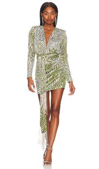 Rhianna Velvet Mini Dress & Metal Fringe Belt in Green Multi | Revolve Clothing (Global)
