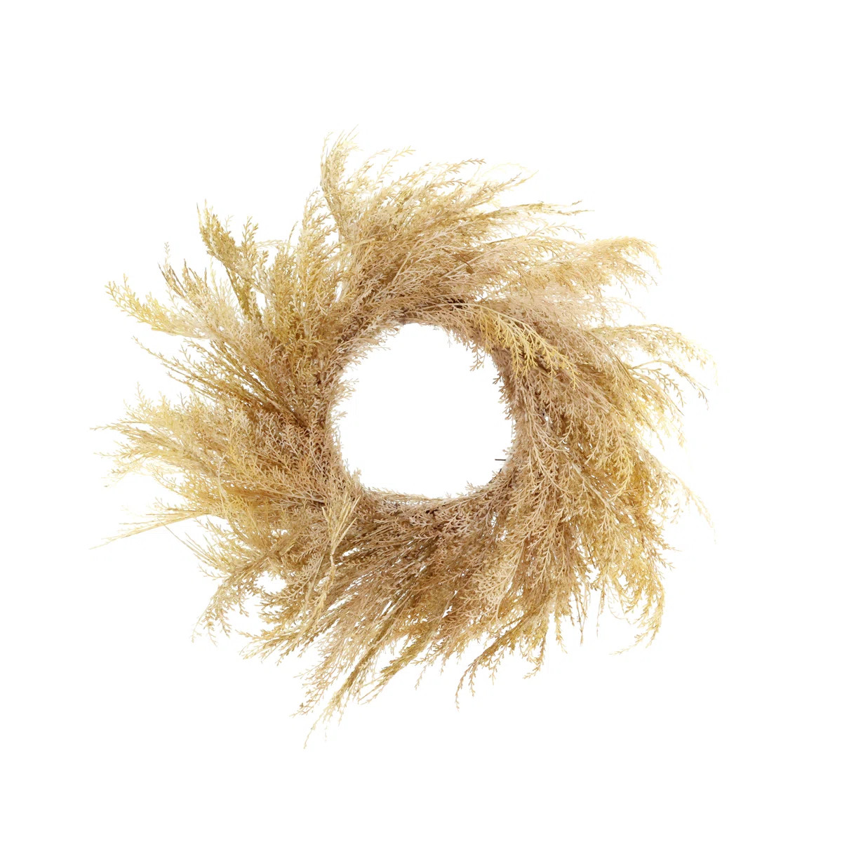 20'' Pampas Grass Wreath | Wayfair North America