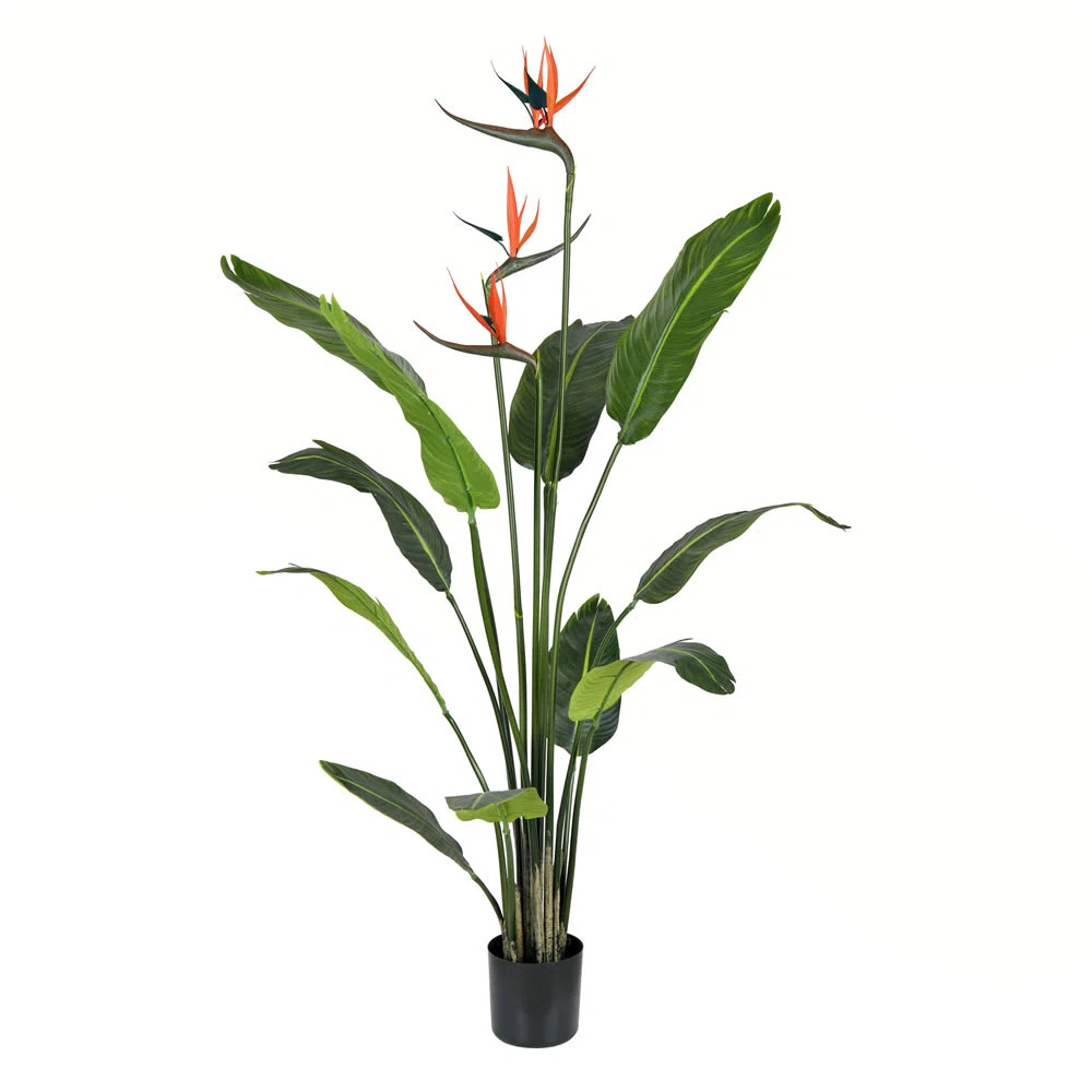 Birch Lane™ Artificial Potted Bird of Paradise Palm Tree & Reviews | AllModern | AllModern