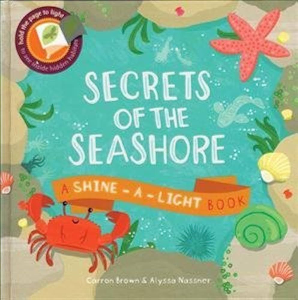 Secrets of the Seashore (Shine-A-Light Book) | Amazon (US)