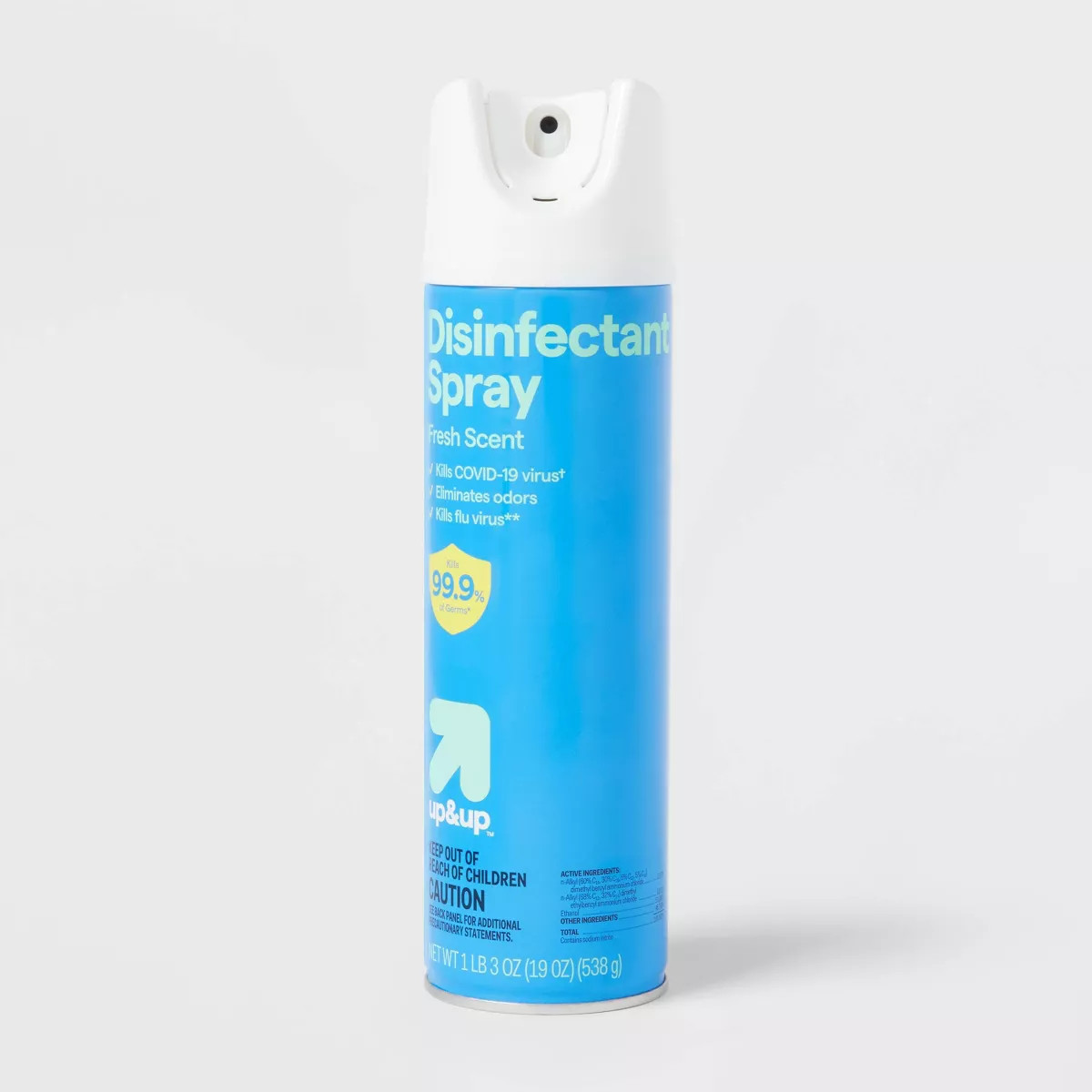 Fresh Scent Disinfectant Spray - 19oz - up&up™ | Target