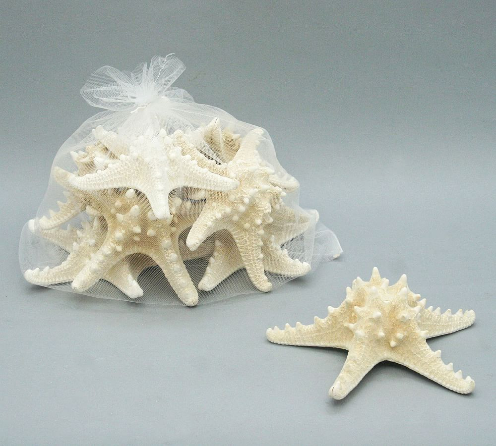 Knobby Starfish - Set of 8 | Pottery Barn (US)