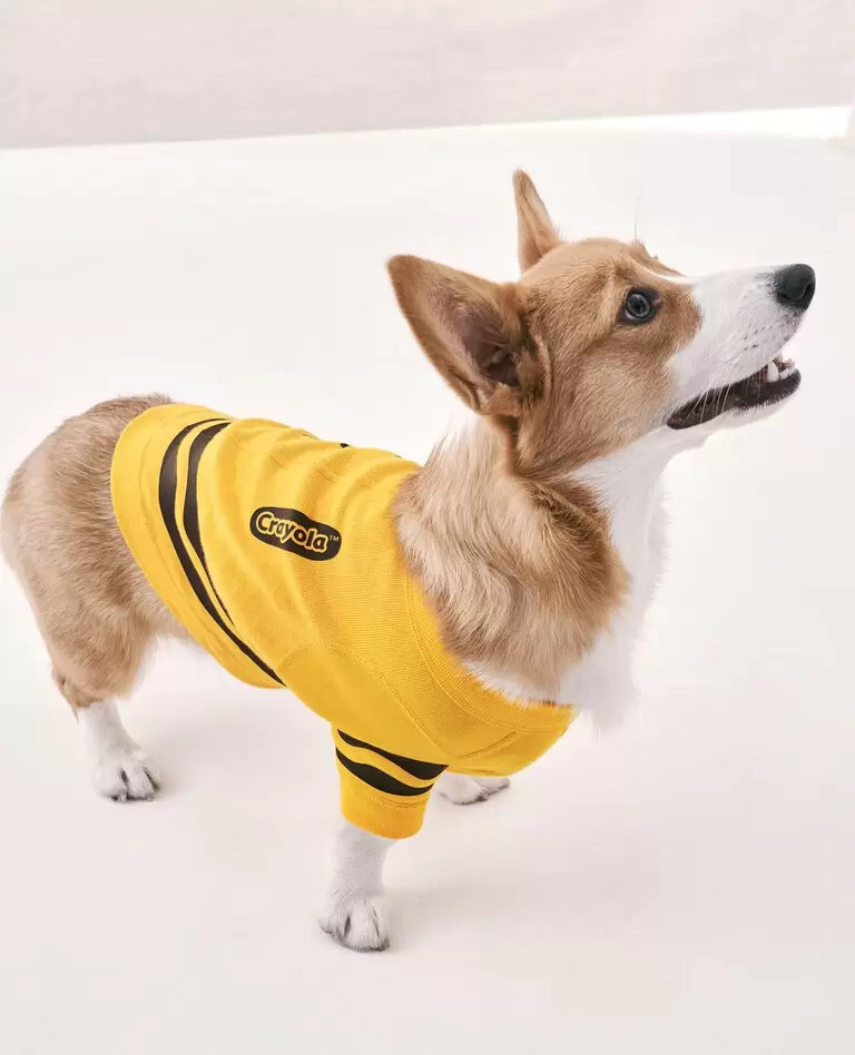 Crayola™ Crayon Dog Pajamas | Hanna Andersson