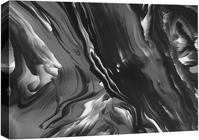 NWT Canvas Wall Art Abstract Black and White Painting Artwork for Home Prints Framed - 16x24 inch... | Amazon (US)