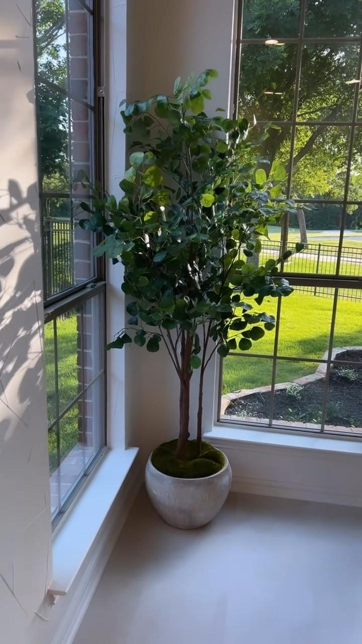 New addition to our kitchen! For this faux tree from Target on sale! Normally $150 and now $105! It’s 72 inches tall!

#LTKSaleAlert #LTKHome #LTKVideo