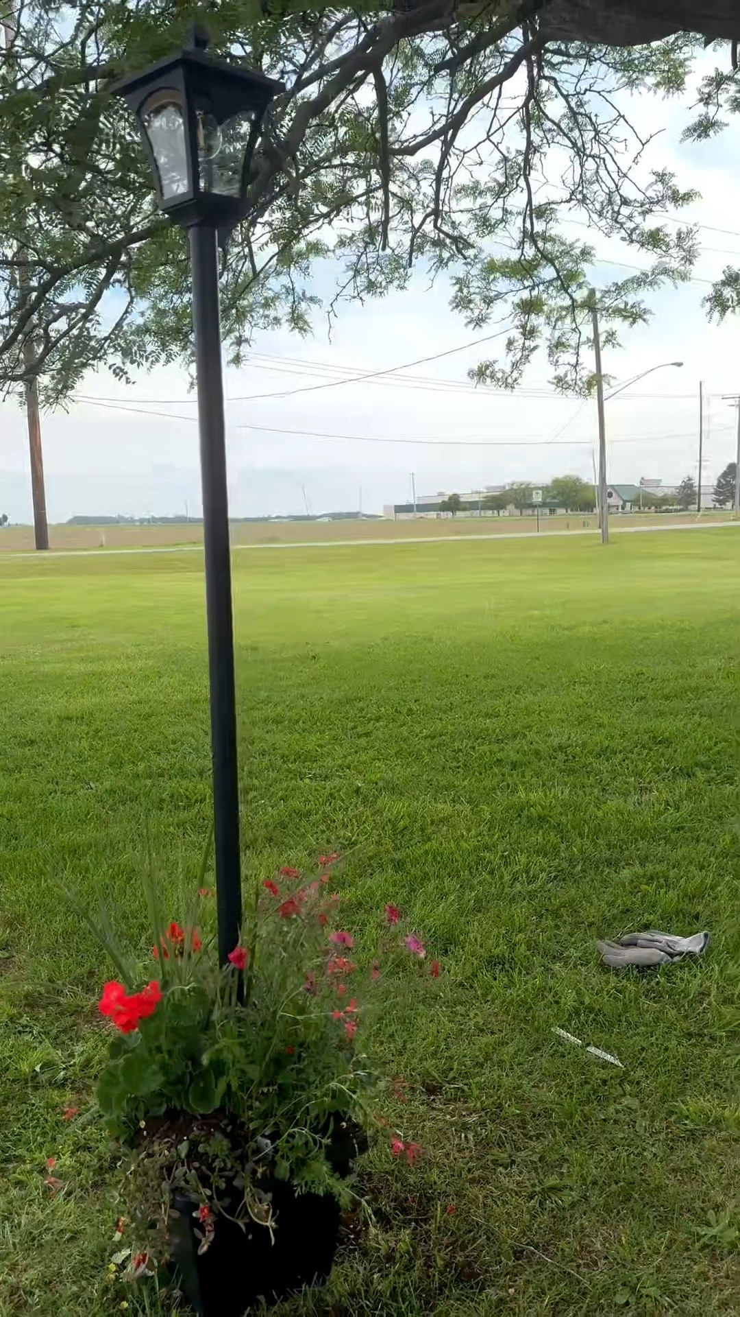 Classy street lamp vibes, but make it solar. 💡🌱 Putting together this 76" waterproof lamp post to give the patio an instant upgrade.

#LTKSeasonal #LTKSaleAlert #LTKHome