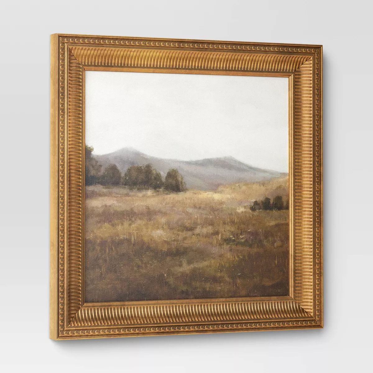 12" x 12" Prairie Land Framed Canvas Board - Threshold™: Modern Style Digital Art, Gold Frame, ... | Target