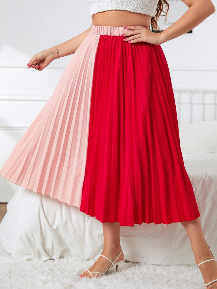 Plus Two Tone Pleated Skirt | SHEIN