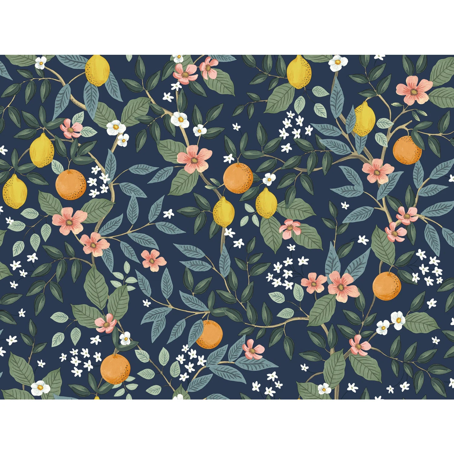 Citrus Grove Peel & Stick Wallpaper | Wayfair North America