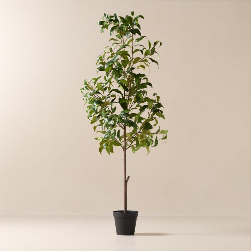 Faux Mango Tree 8' | CB2 | CB2