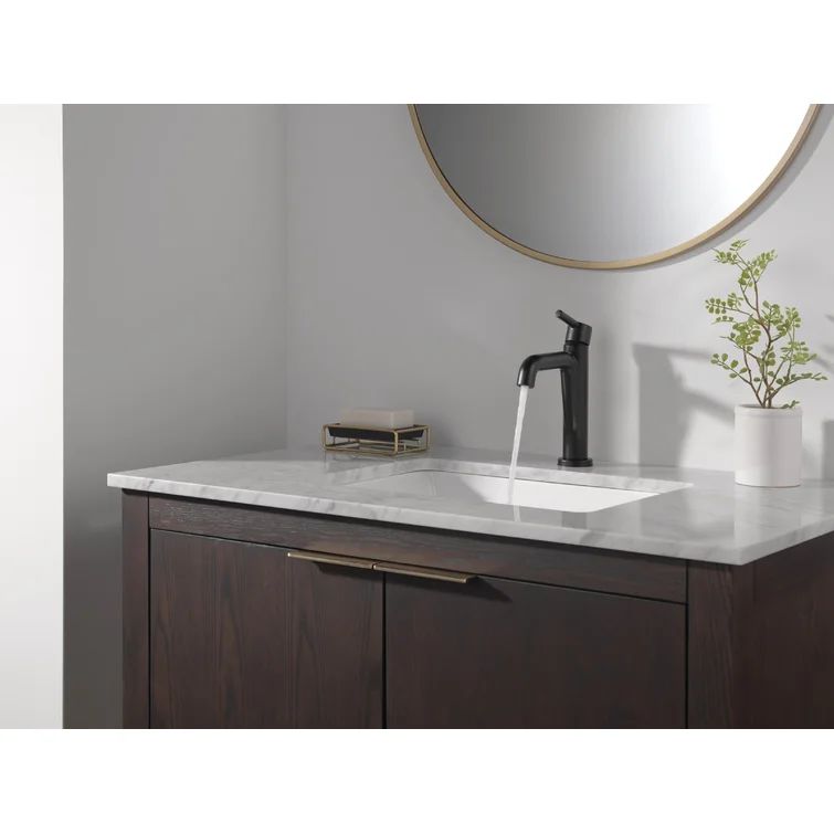 Nicoli Single Hole Bathroom Faucet with Drain Assembly | Wayfair North America