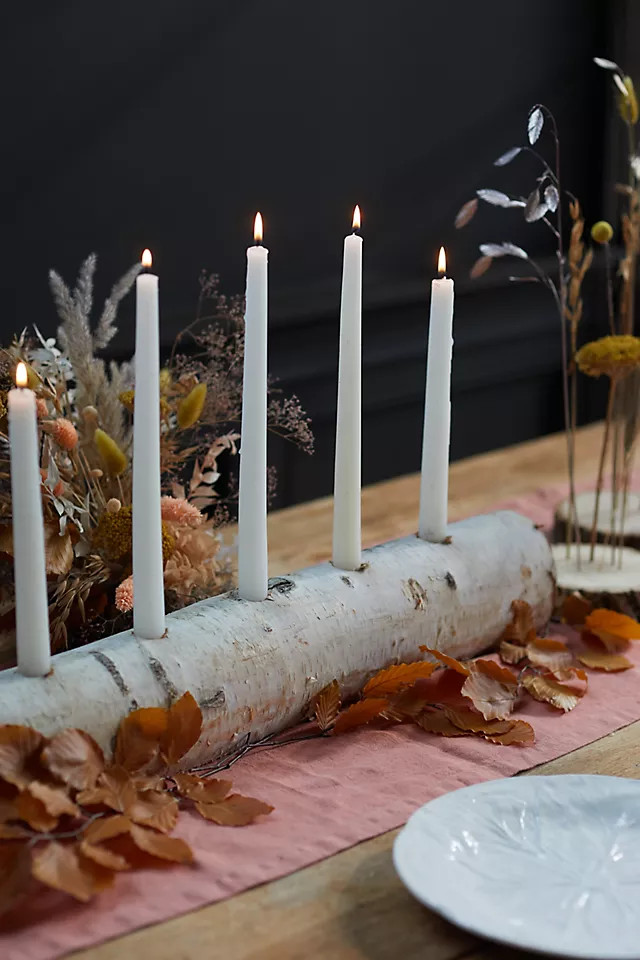 Birch Log Taper Holder | Anthropologie (US)