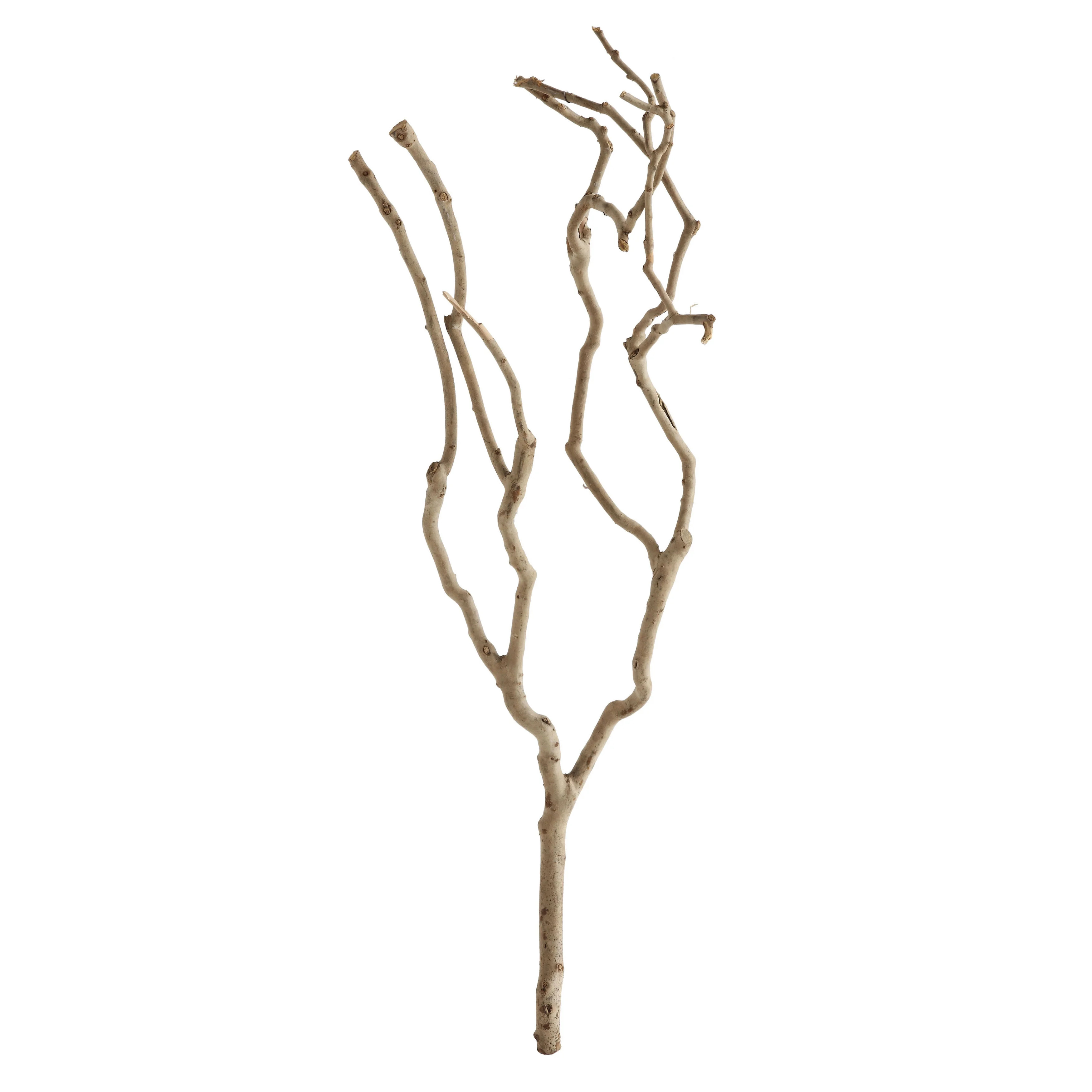 Creative Co-Op 27" Natural Tea Tree Branch Decoration (Each one will vary) - Walmart.com | Walmart (US)