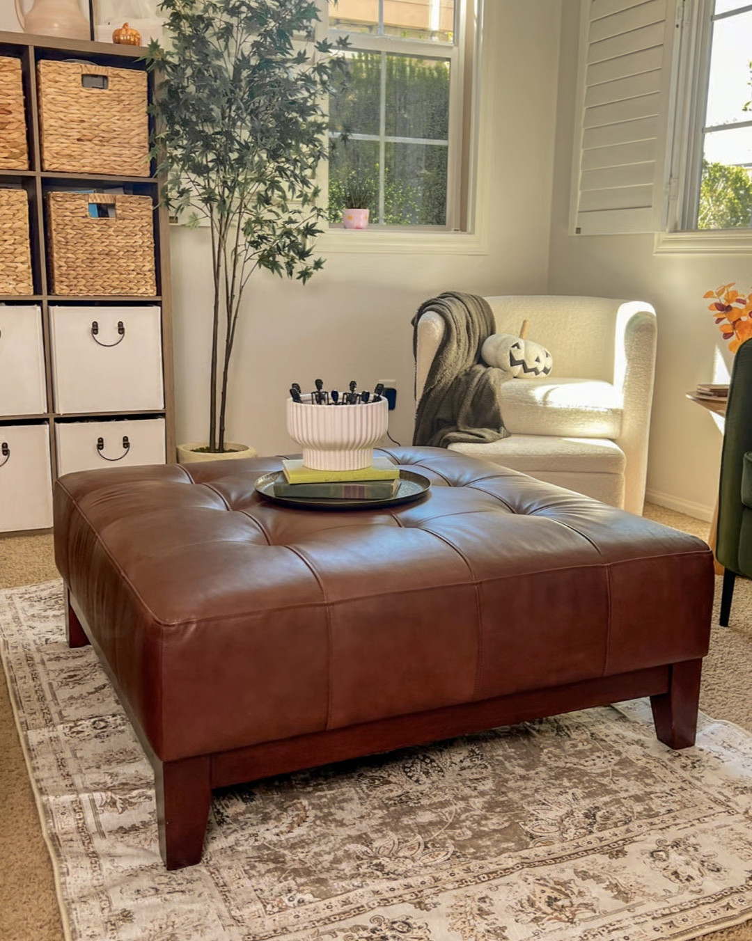 Hola Bebés! Amazon Home Finds Vintage Rug!

Cozy up your space with a Vintage rug 👌

Machine Washable ✔️ 
Non Slip ✔️ 
Lightweight ✔️ 
Lux at An affordable price ✔️ 

Details: 
Size: 4 X 6 
Color: Distressed Taupe 


#LTKHome #LTKFindsUnder100