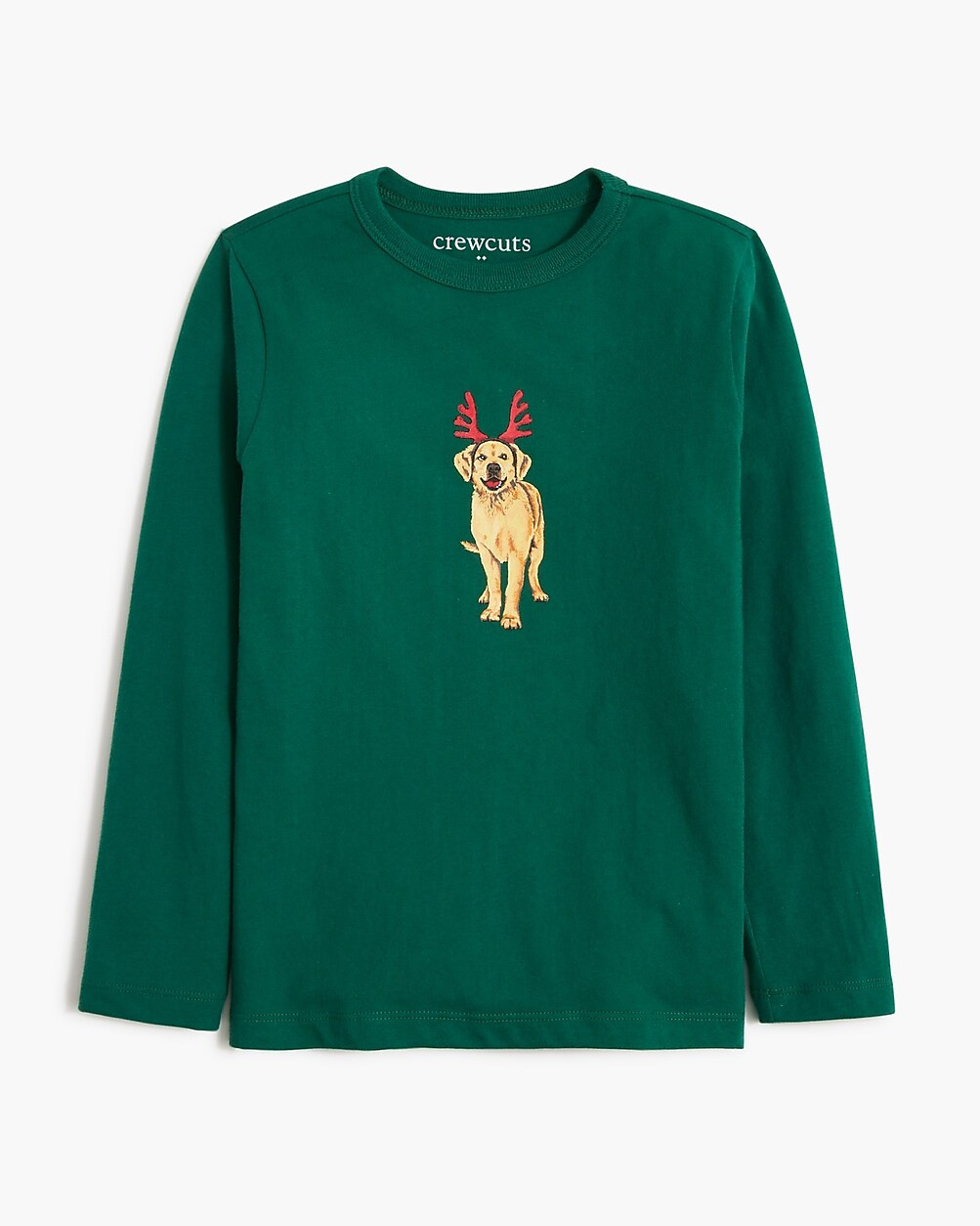 Boys' antler dog graphic tee | J.Crew Factory