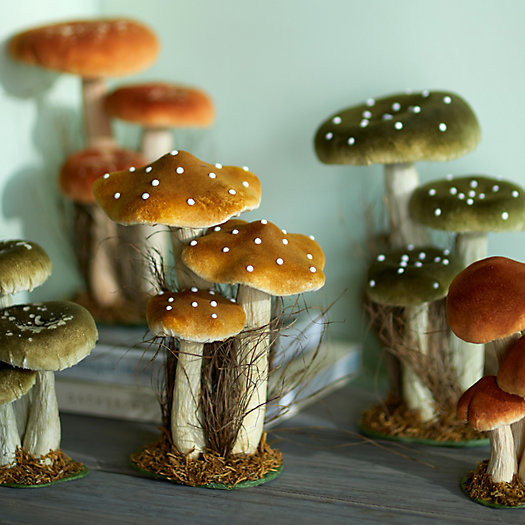 Velvet Mushroom Trio | Terrain