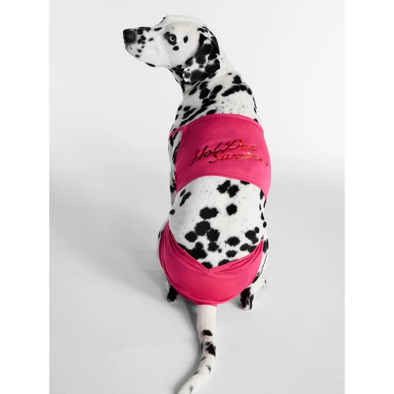 Hot Dog Summer By Megan Thee Stallion Bubblegum Barkini Dog Bikini, Pink, Small | Walmart (US)