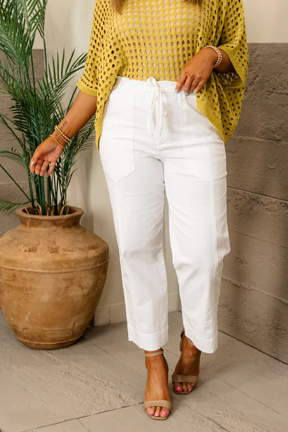 Ab  Solution Skyrise Paper Bag Pant | Democracy - SALE | The Willow Tree