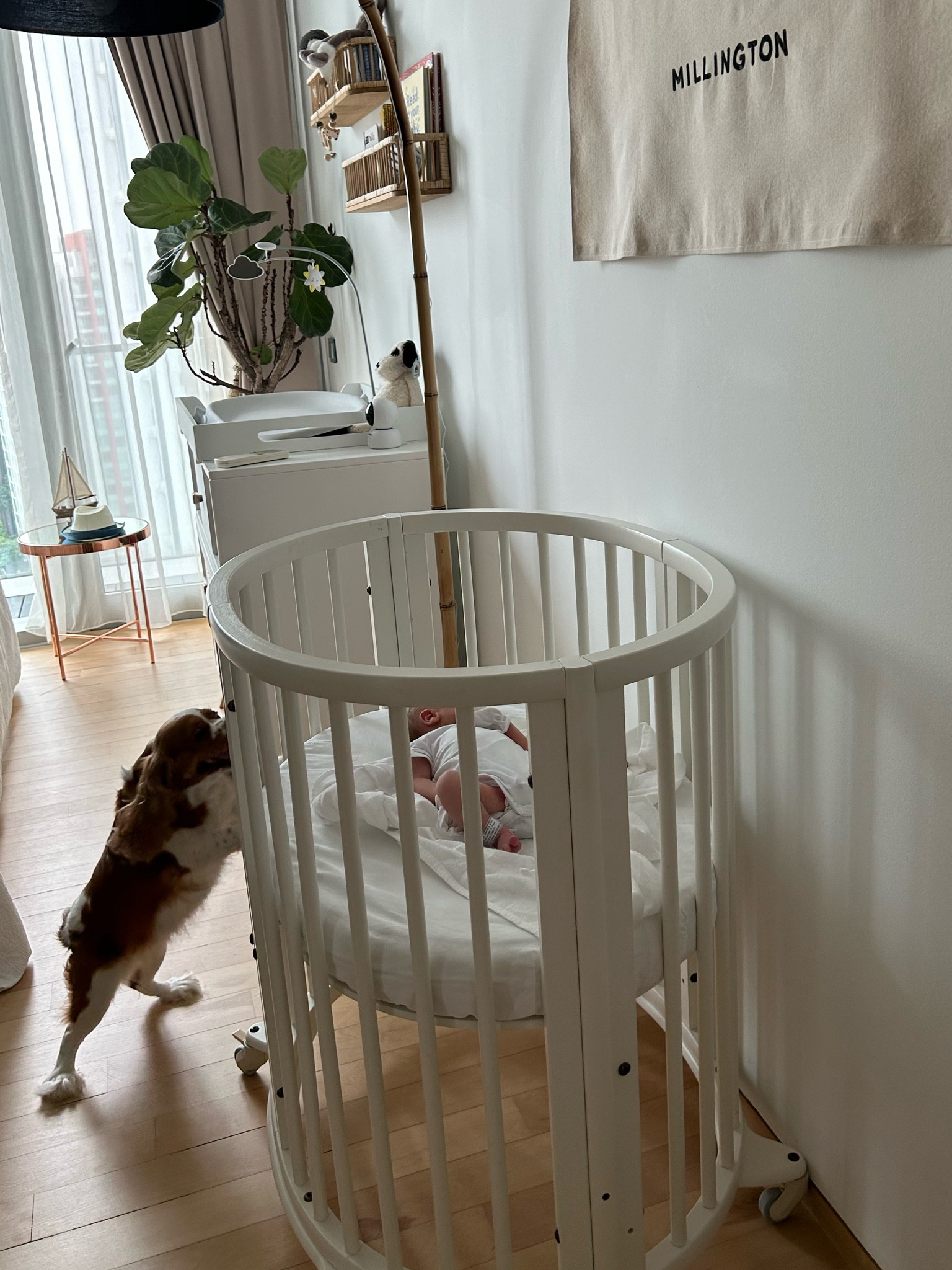 This gorgeous gender neutral and modular crib is perfect as you can reuse it for future children and if grows with the baby! 

#LTKkids #LTKhome