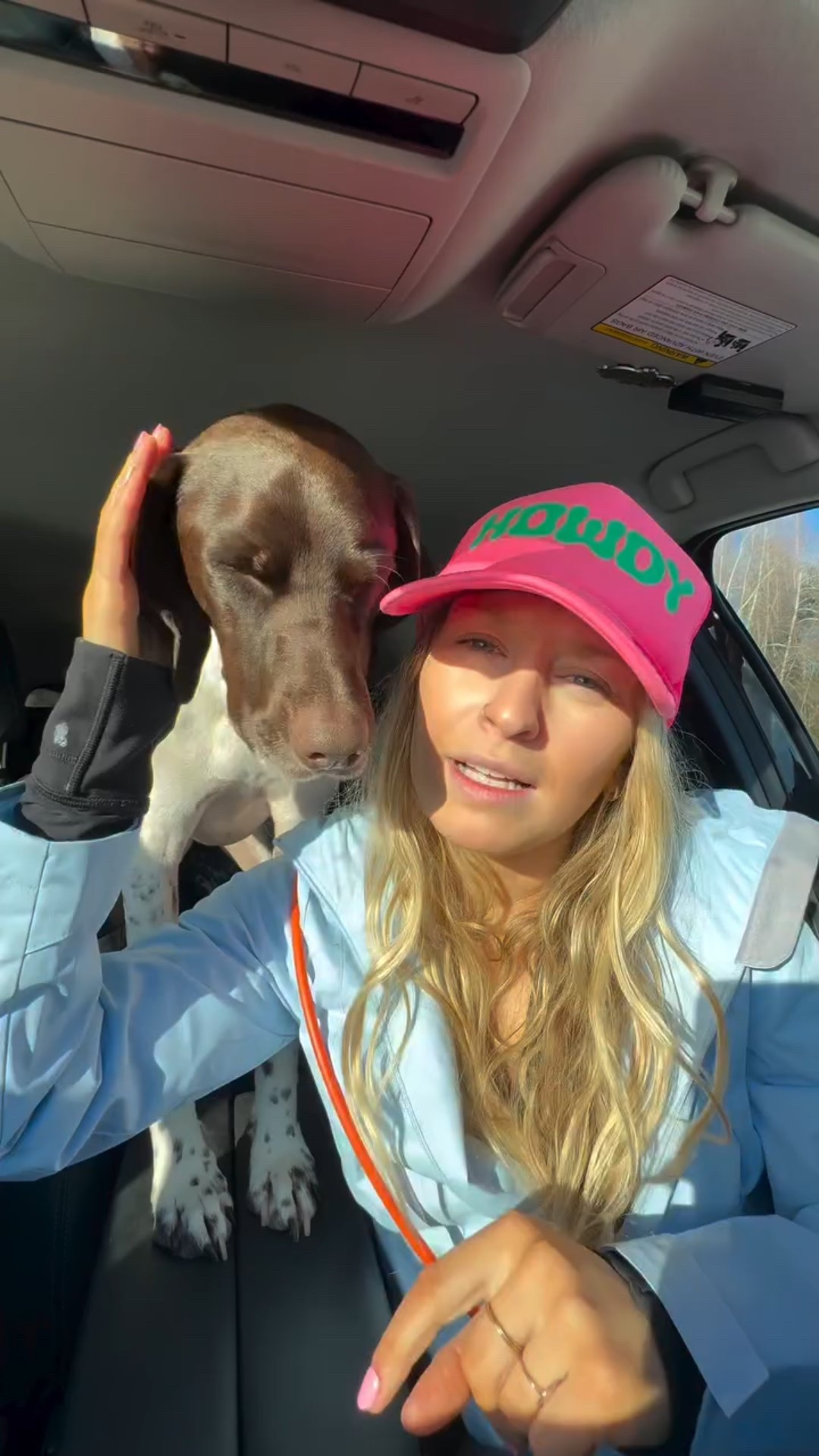 What’s your favorite part?!? 🐇🦖👀😅

#dog #crazydogs #doglife #gsp