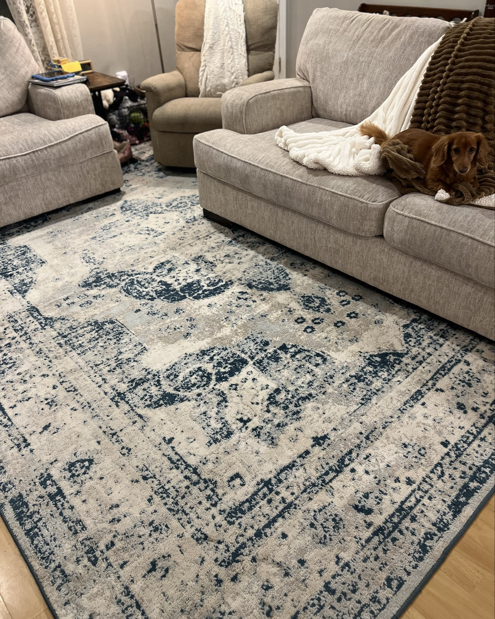 The best vintage style area rug!

#LTKFamily #LTKVideo #LTKHome