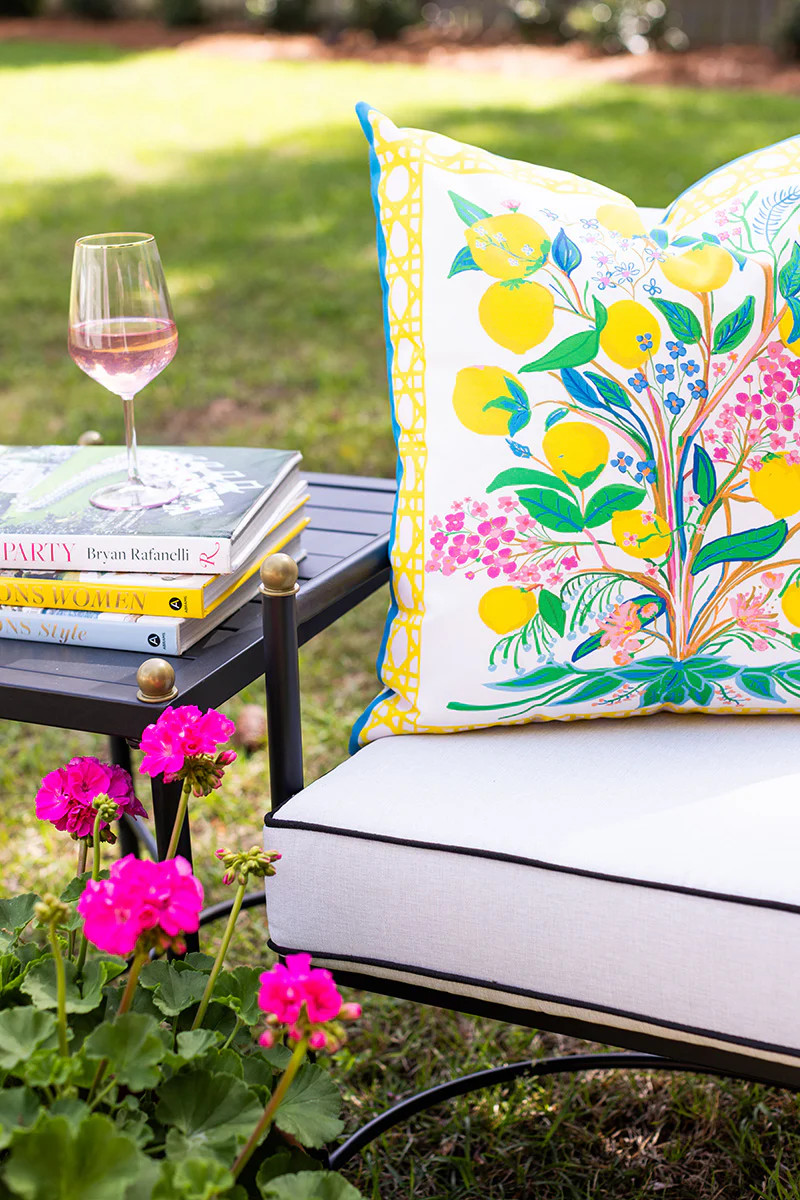 Citrus Toddy\u00a9 22 inch Square Outdoor Pillow Set of 2 | House Of MBR